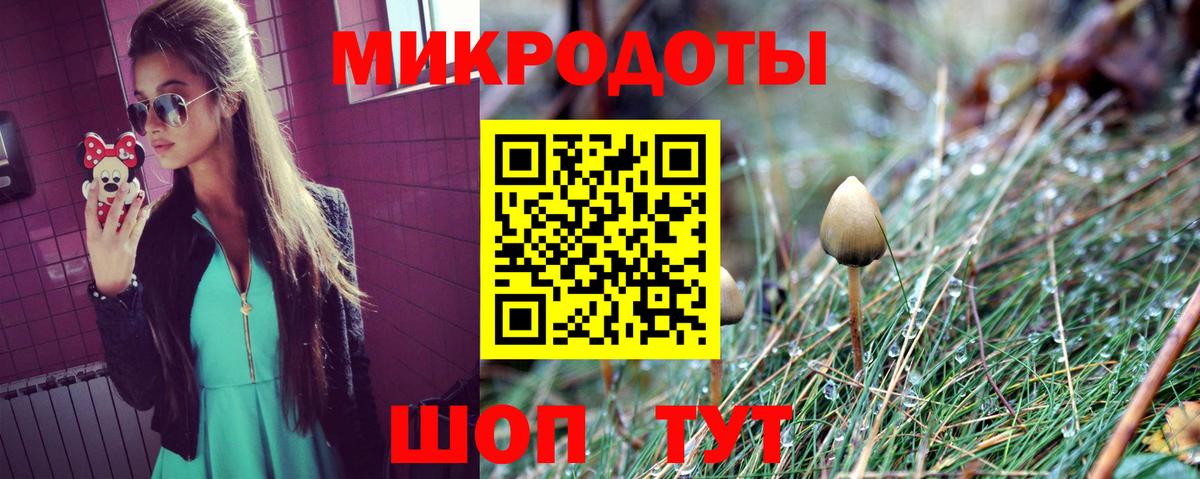 Челябинск  Псилоцибиновые грибы прущие грибы  Вход с VPN 